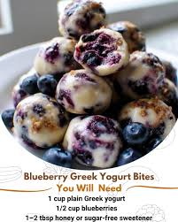 Blueberry Greek Yogurt Bite
