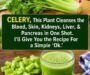 Celery Juice: Benefits, Myths, and a Simple Healthy Recipe